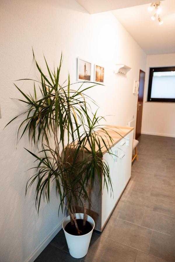 Ferienwohnung Am See - Sport Und Erholung - Wlan Winterberg Exteriér fotografie